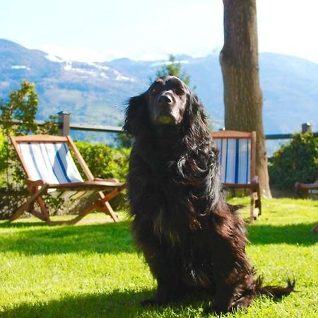Bed & Breakfast Chez Berry Αόστα Εξωτερικό φωτογραφία