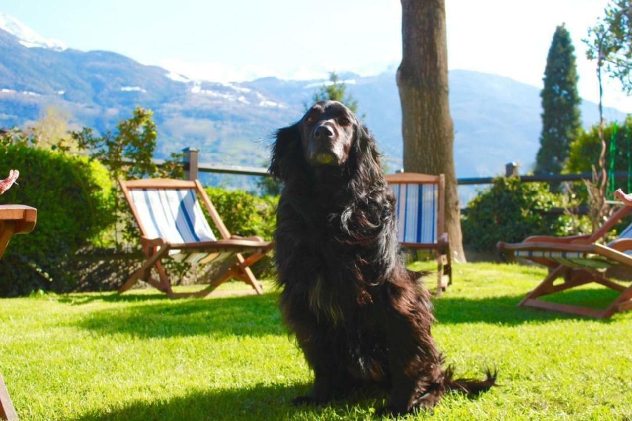 Bed & Breakfast Chez Berry Αόστα Εξωτερικό φωτογραφία